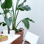 Apartmán Entrenaranjos *