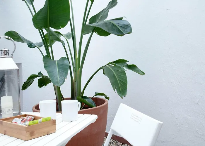 Apartmán Entrenaranjos *