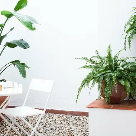 Entrenaranjos 公寓 *